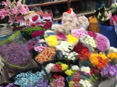 -秦美花卉(天朗·莱茵小城2期店)