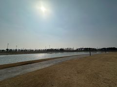 -春花秋色城市公园