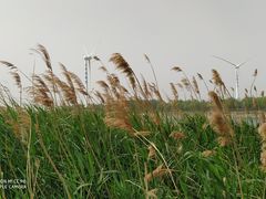 -怀来官厅水库