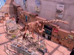 -陕西自然博物馆