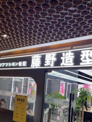 -藤野造型烫染优质