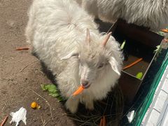 -哈尔滨北方森林动物园