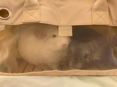 -龙猫仔乐园(惠福东路店)