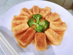 -暖见鱼·自家农场生态鱼