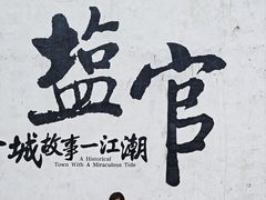 -观潮胜地公园