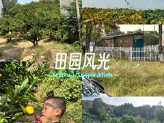 -南北湖风景区