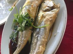 -蛇口康乐快餐鱼仔档(翠苑小区店)