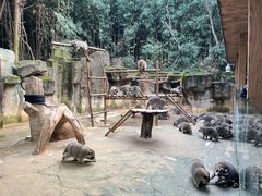 -杭州野生动物世界