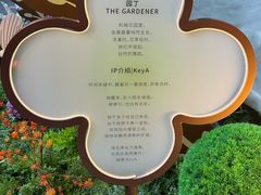 -丰盛里