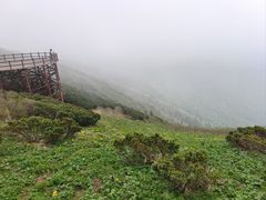 -凤凰山国家森林公园
