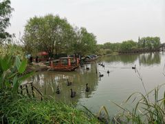 -长兴太湖图影湿地文化园