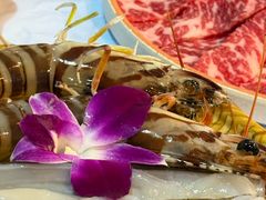 -鲜入围煮花胶鸡海鲜火锅