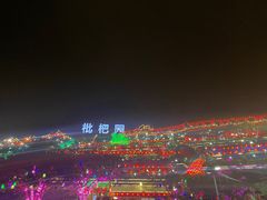 -枇杷园食为鲜火锅(南山店)