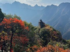 -秦岭终南山世界地质公园翠华山景区