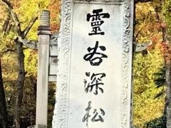 -灵谷景区