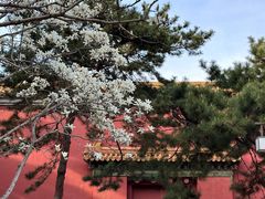 -北京市劳动人民文化宫(太庙)