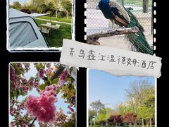 -青岛鑫江温德姆酒店