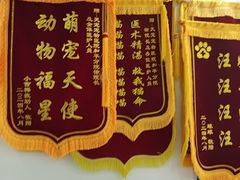 -天宠宠物医院24小时·急重症诊疗中心·全科·腔镜特色(和平分院)