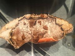 -鲁家大院(工农路店)