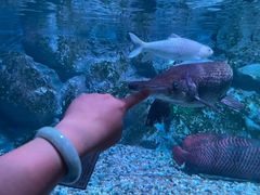 -正佳极地海洋世界