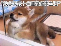 -巨鹏飞梦幻海岸