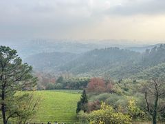 -敬亭山风景名胜区