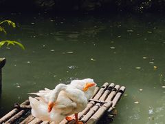 -兰亭风景区