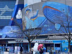 -海合安青岛极地海洋公园