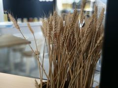 -little hlk 小饿龙(浦东嘉里城店)