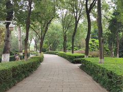 -莲湖公园