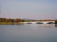 -绍兴镜湖国家城市湿地公园