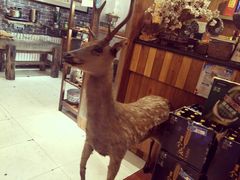 -名扬烤肉(起源店)