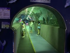 -秦皇岛新澳海底世界