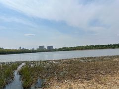 -长春市南湖公园