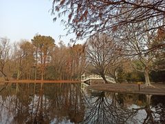 -共青国家森林公园-南大门停车场
