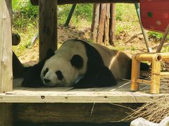 -大连森林动物园