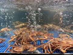 -东海怡品海鲜豆捞(星街坊店)