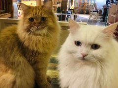 -小时光咖啡馆(开森度假森林店)