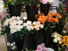 -之悦咖啡馆(新星宇·之洲店)