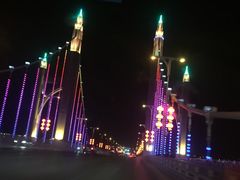 -大鸭梨烤鸭店(金顶街店)