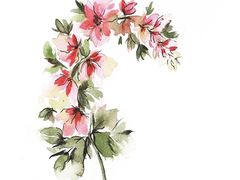 -八哥美术·成人美术画室(总校区)