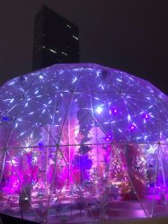 -美丽匯形象定制