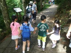 -天目山大树王景区