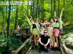 -王顺山国家森林公园
