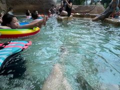 -杭州开元森泊度假乐园