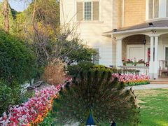 -J Create城市露营咖啡·简餐·宠物(上海动物园店)