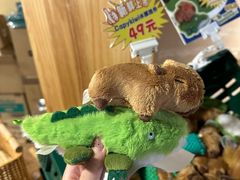 -ZOO COFFEE动物园咖啡(红山森林动物园店)