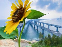 -星海湾跨海大桥