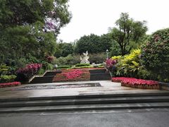 -金鸡山公园