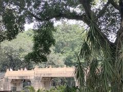 -晓港公园